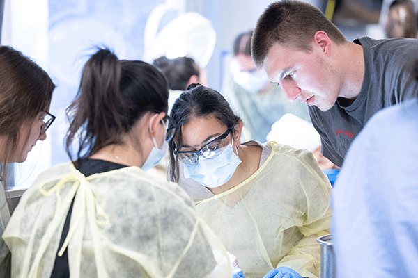 Four white students work together in a lab. On the left is a white male student with short brown hair, wearing a grey T-shirt. To his right is a white female student with black hair pulled back into a ponytail.  She wears protective eyewear, a yellow surgical gown, and a mask. On the right are two female students with brown hair, also wearing surgical gowns. The students are looking down.